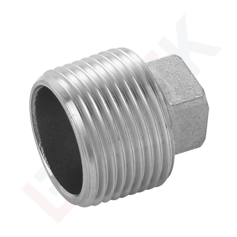 Stainless Steel Pipe Plugs
